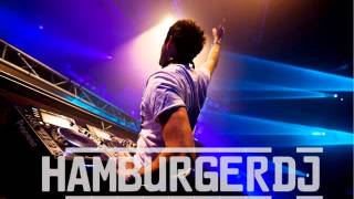 Hamburger Dj  Nichts ist für die Ewigkeit Hardtechno Remix [upl. by Atims90]