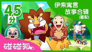 伊素寓言故事合辑（台配）  Aesops Fables Compliation  碰碰狐PINKFONG [upl. by Cyrus]