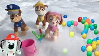 Aprende con juguetes de Paw patrol y los bebés Las estaciones con Chase y Skye Videos para niños [upl. by Barbe]