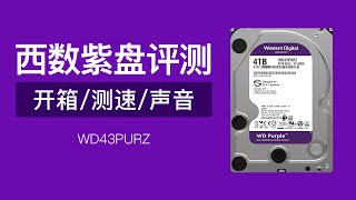 西部数据机械硬盘WD43PURZ评测（开箱分区设置测速声音测试）机械硬盘怎么选 科技分享 [upl. by January185]