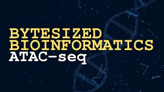 ATACseq  Bytesized Bioinformatics [upl. by Trotter]