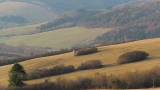 KUTY ČIRČ živa panorama [upl. by Aihtnamas407]