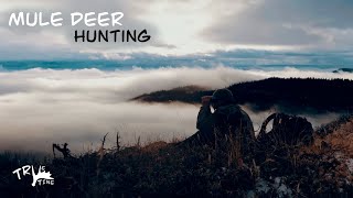 Late October Mule Deer Hunting 2024 [upl. by Paddie]