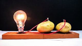 Free Energy Light Bulbs 220v using Potatoread description [upl. by Anig]