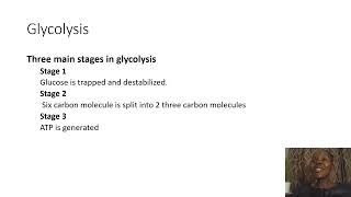 Biochemistry SimplifiedGlycolysis [upl. by Animahs]