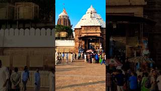 jaga kalia re ⭕️❗️⭕️ jagannath trending odiabhajan jagannath puri youtubeshorts srikhetra [upl. by Vivianne406]