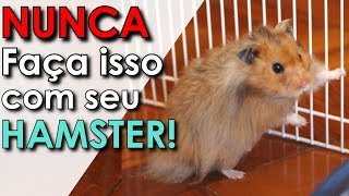 O que NUNCA fazer com seu hamster [upl. by Ruyam]