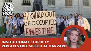 Free speech has been replaced by institutional stupidity at Harvard UPenn and MIT [upl. by Malone439]