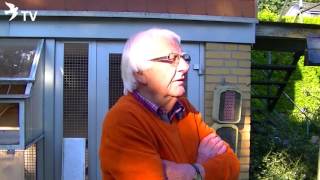 Wolfgang Roeper Interview Part 126 Reisesaison 2015 amp Auslese Brieftauben [upl. by Retrac]