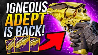 Igneous Hammer Adept is HERE is Better than ever  New perks [upl. by Bennet]