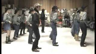 Country Line Dance  Copperhead Road  Steve Earl [upl. by Alilak]