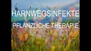 Harnwegsinfekte Teil 1  Pflanzliche Therapie [upl. by Sumahs]