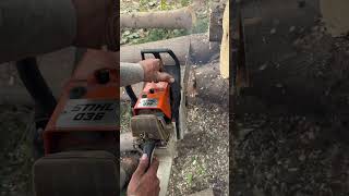 Cutting with stihl stihl forest stihlchainsaw l [upl. by Dnomsaj]