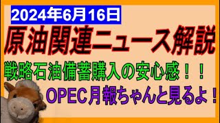 OPEC月報ちゃんと確認するよ！リグ稼働数が少なすぎ？ WTI原油先物価格見通し 2024年6月16日時点 [upl. by Anielram]