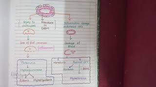 Nephrotic and Nephritic Syndrome [upl. by Ardnuassac]