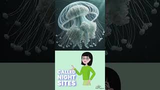 Fact about Jellyfish [upl. by Eelibuj486]