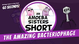 Bacteriophages  Amoeba Sisters Shorts [upl. by Douville]