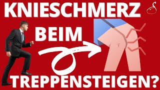 KNIESCHMERZEN beim Treppensteigen │ SanoGym [upl. by Tesler709]