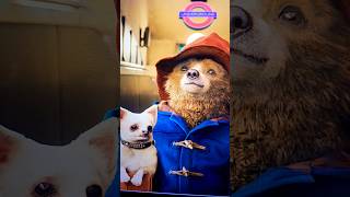 Paddington 2014 review [upl. by Northrop]