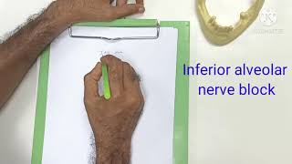 Inferior alveolar nerve block technique part 1 Basics LandmarksTarget area Painless injection [upl. by Budge]