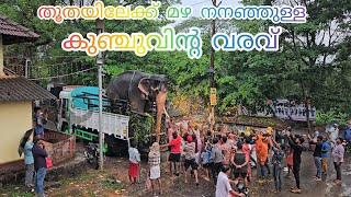 തൂത ആലിൻചുവടിനു വേണ്ടി കുഞ്ചു🔥🤍  Ukkens Kunju  Thootha Pooram 2024 [upl. by Aremihc]