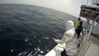 Panama fishing pearl islands [upl. by Ramled926]