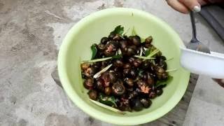 Khmer food – cooking snail [upl. by Lugar]