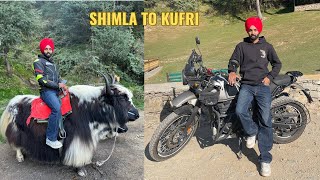 KUFRI SHIMLA VLOG  Shimla To Kufri by Bike🔥 [upl. by Hanahs]