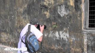 Shooting Texture in India Episode 152 Exploring Photography with Mark Wallace [upl. by Hinda855]