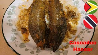 Trinidadian style curried cascadoo Guyanese Hassar curry A Guyanese delicacy [upl. by Uriiah]