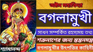 Bagalamukhi  Shyamananda  Mahamaya Official [upl. by Eidarb463]