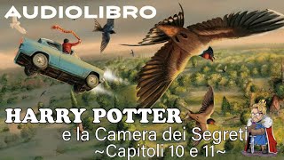 Harry Potter e la camera dei segreti  Lettura e Commento Cap 1011 Audiolibro [upl. by Notnef]