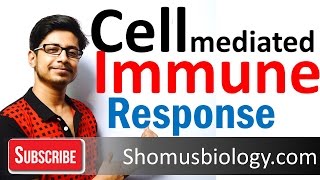 Cell mediated immunity  innate immune response [upl. by Airdnekal]