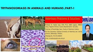 Trypanosomiasis in Cattle Horses Camel and Dogs Causes Symptoms Diagnosis and Treatment [upl. by Garbers]