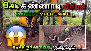 8 அடி ௧ண்ணாடி விரியன் பாம்பு 😱 தப்பிச்சன்டா சாமி 🥵RUSSEL’S VIPERDABOIA RUSSELIIIVERY DANGEROUS 🐍 [upl. by Finbur780]