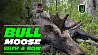 Bull Moose Bow hunt Spot N Stalk [upl. by Rehposirhc646]