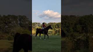 Margots Pony Club Just a Girl amp Her Horse 100724 😊🐎 [upl. by Sigrid]