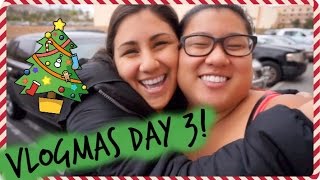 TRADER JOES HAUL amp BEST FRIENDS FOREVER Vlogmas Day 3 [upl. by Blanch]