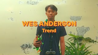 Wes Anderson Trend [upl. by Polly4]