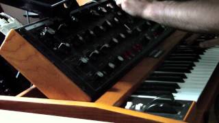 Moog Voyager Old School  Delay  Fat amp Bouncy [upl. by Einattirb]