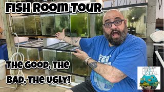 Fish Room Tour [upl. by Micheal]