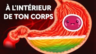 Un Voyage à lIntérieur de ton Corps [upl. by Norit]