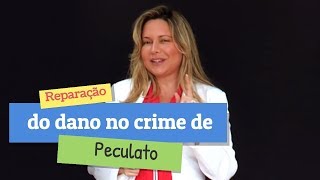 🏹 Direto no Ponto  Reparação do dano no crime de peculato  EP14 [upl. by Sisi802]