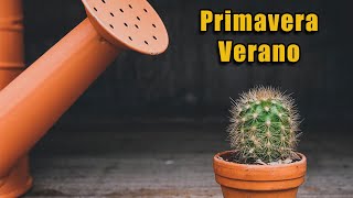 Fertilización de cactus y suculentas [upl. by Yvad]