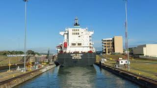 Panama Canal Part 1 Crossing through first step of Miraflores Locks  Panama 🇵🇦 [upl. by Enomes774]