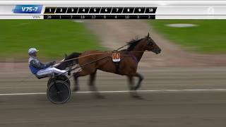 Olympiatravet Final 2018 Ringostarr Treb [upl. by Akilak]