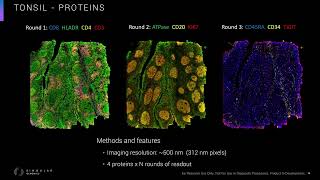 Labroots Webinar  Enabling Spatial Biology at Scale with InSitu Sequencing on the G4X [upl. by Aitat877]