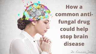 How an common antifungal drug could help stop brain disease [upl. by Aenotna]