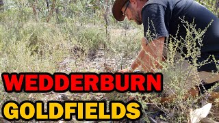 WEDDERBURN GOLDFIELDS  2024 Detector Jamboree [upl. by Jonathon]