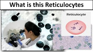 Reticulocytes [upl. by Small661]